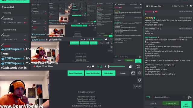 A Streamer Is Playing A Live Game/Chat Stream