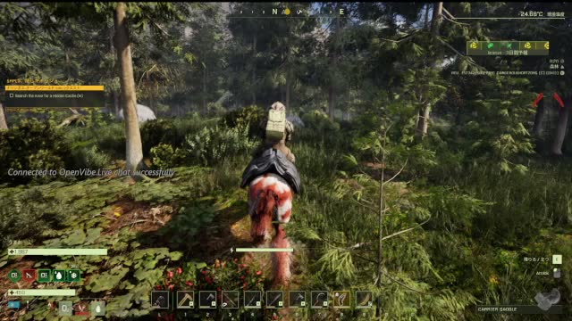 Bear Ride Through the Woods