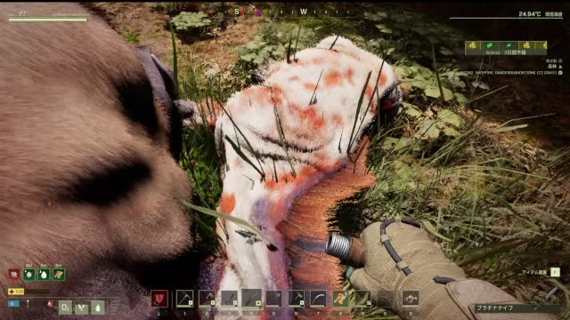 Bloodied animal inside the forest bloom