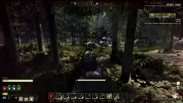 Crashing Forest Thunderstorm